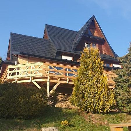 Willa Janosik Witów Exteriör bild